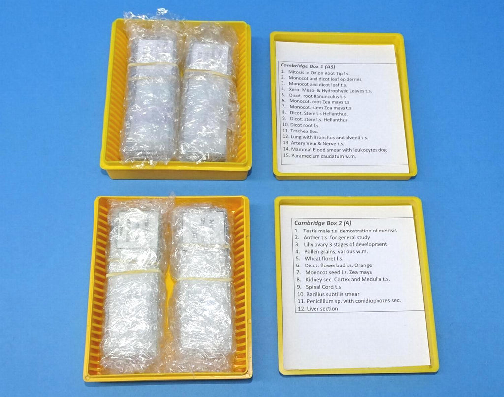 SLIDES PREPARED SET/27 CAMBRIDGE AS+A