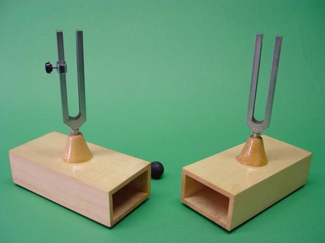 TUNING FORK LARGE PAIR MOUNTED