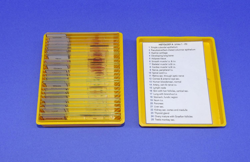 SLIDES PREPARED SET/25 HIST.