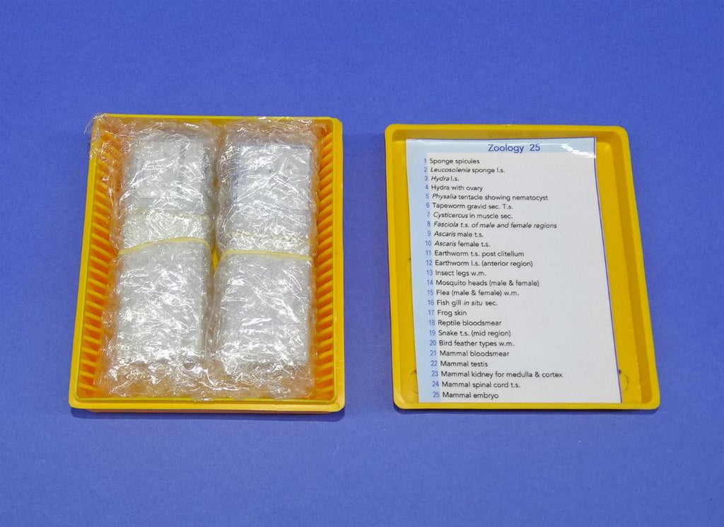 SLIDES PREPARED SET/25 ZOOLOGY