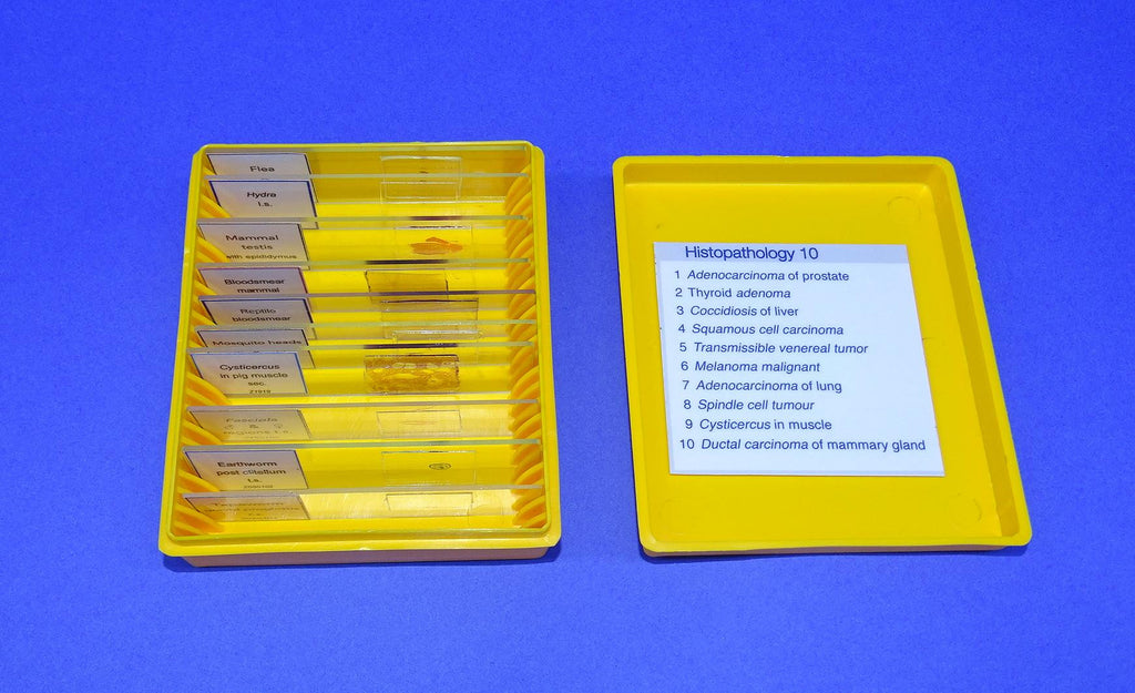 SLIDES PREPARED SET/10 HIST.