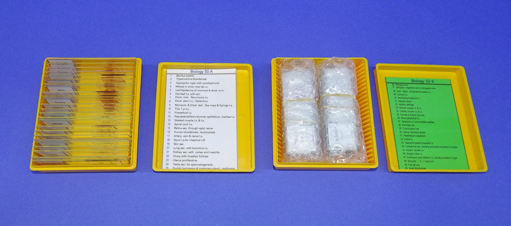 SLIDES PREPARED SET/50 BIOLOGY