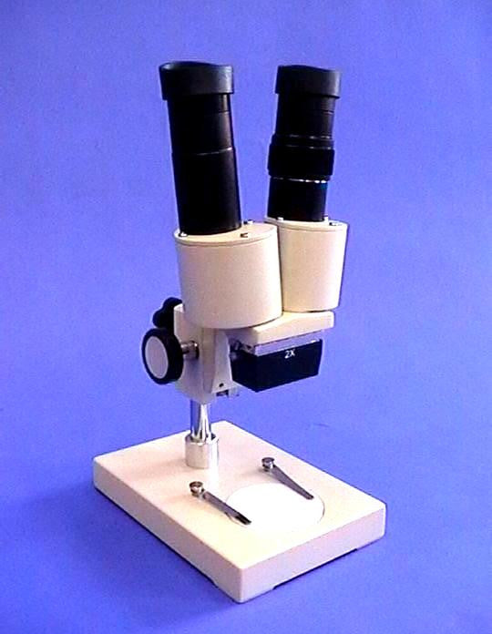 MICROSCOPE STEREO GP-10x