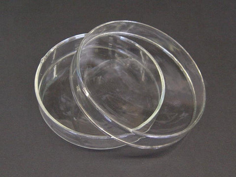 PETRI DISH 100mm GLASS