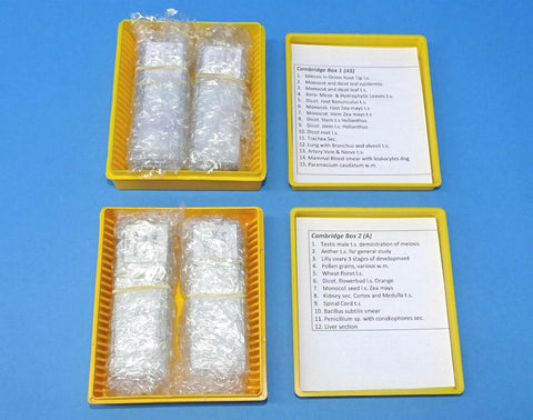 SLIDES PREPARED SET/27 CAMBRIDGE AS+A