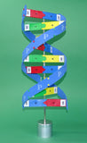 DNA model assembled on stand