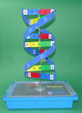 MODEL DNA