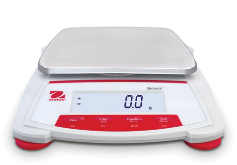 BALANCE DIG SCOUT 2200x0.1g