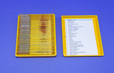 SLIDES PREPD SET/25 BIOLOG ZIM