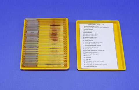 SLIDES PREPARED SET/25 HIST.