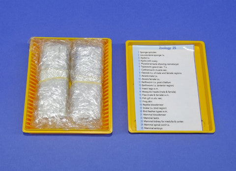 SLIDES PREPARED SET/25 ZOOLOGY
