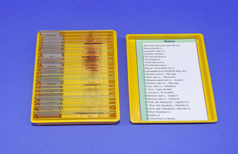 SLIDES PREPARED SET/25 BOTANY