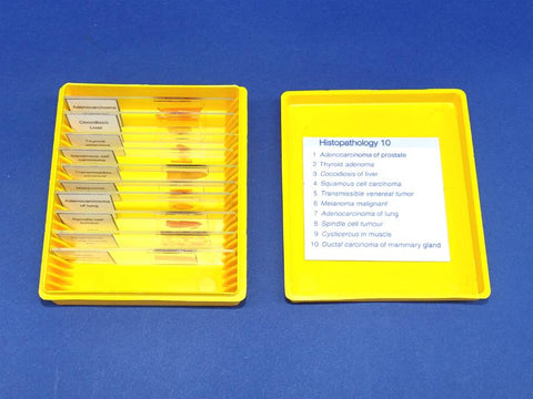 SLIDES P. SET/10 HISTOPATHOGY
