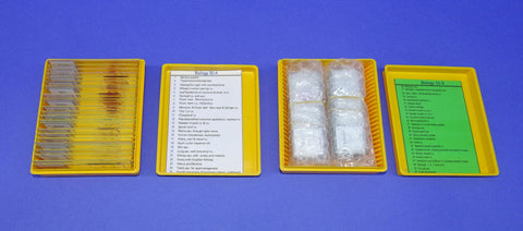 SLIDES PREPARED SET/50 BIOLOGY