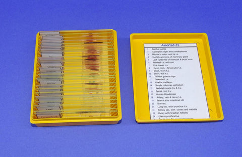 SLIDES PREPARED SET/25 ASSORT