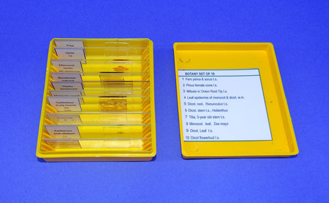 SLIDES PREPARED SET/10 BOTANY