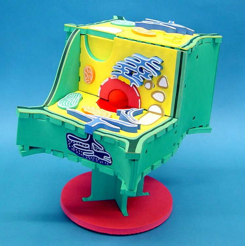 MODEL PLANT CELL SET + NOTES