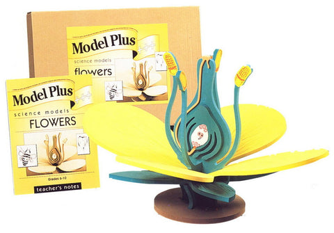MODEL FLOWER SET + NOTES