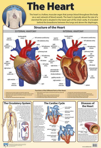 CHART HEART