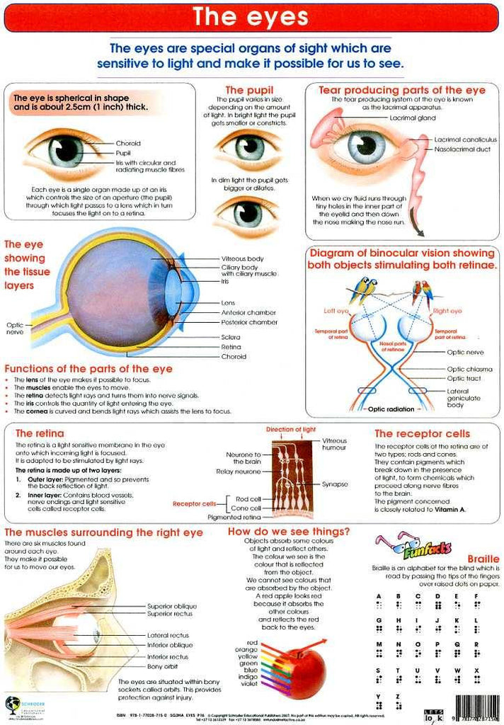 CHART EYES