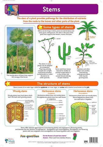 CHART STEMS