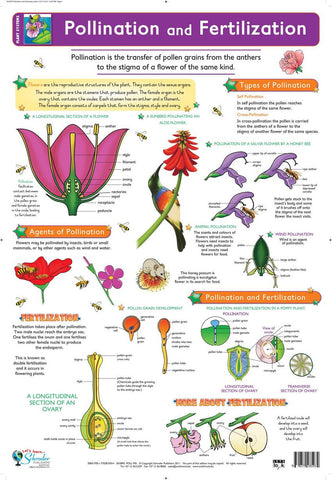 CHART POLLINATION & FERTILIZATION