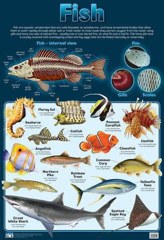 CHART FISH