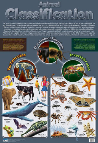 CHART ANIMAL CLASSIFICATION