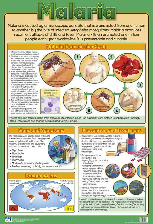 CHART MALARIA