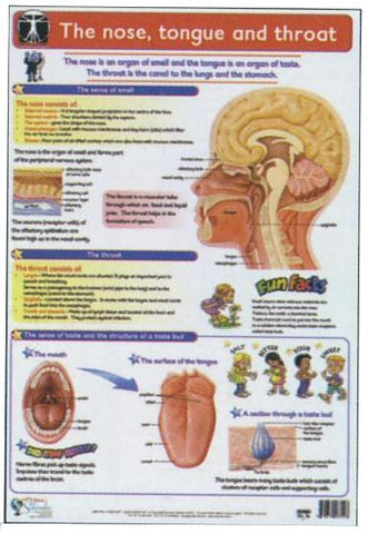 CHART NOSE TONGUE & THROAT