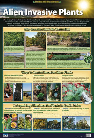 CHART ALIEN INVASIVE PLANTS