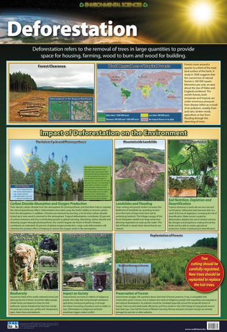 CHART DEFORESTATION