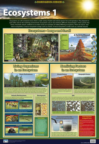 CHART ECOSYSTEMS 1