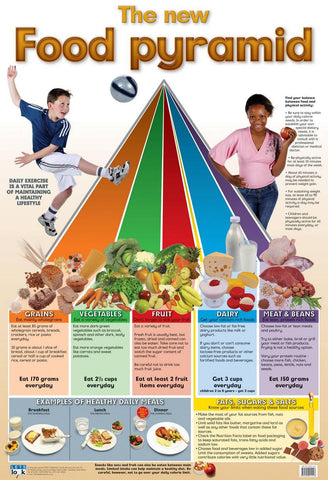 CHART FOOD PYRAMID