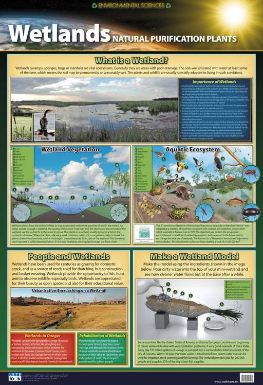 CHART WETLANDS