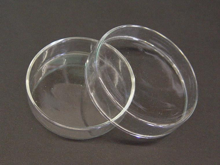 PETRI DISH  60mm GLASS